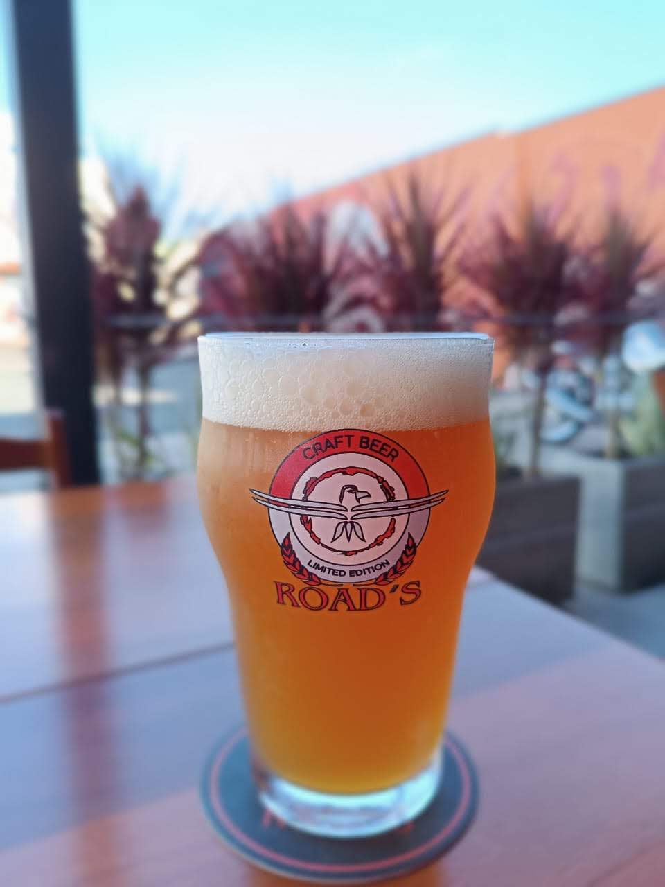 Chopp artesanal servido gelado